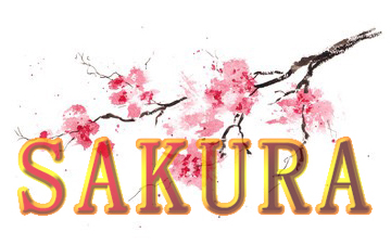Sakura Badajoz, restaurante japonés