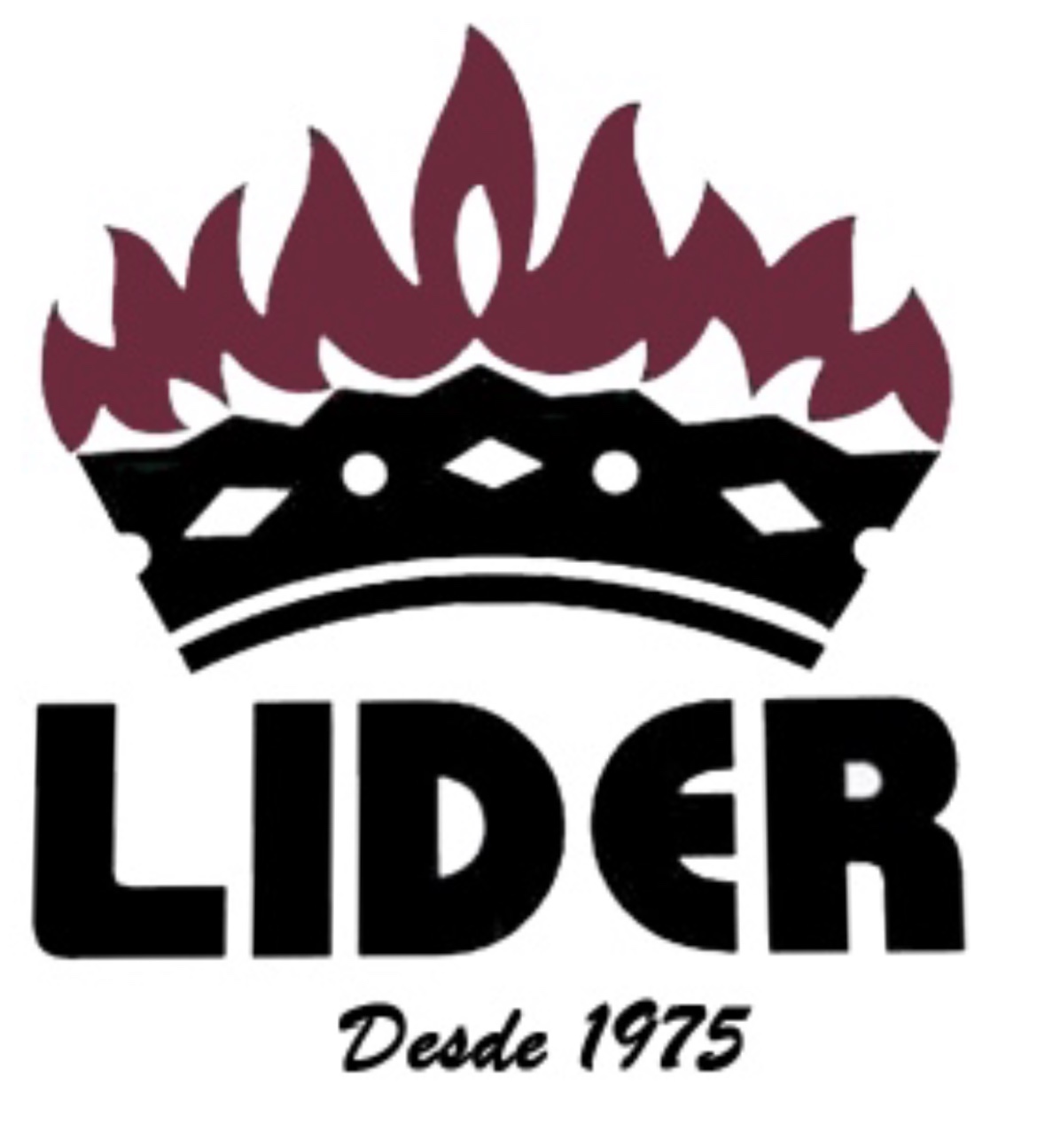 LÍDER: Tu Socio Confiable en la Seguridad Empresarial con Sistemas de Protección contra Incendios