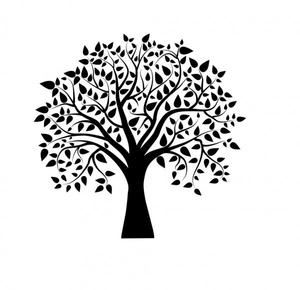 El árbol podrido